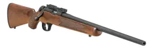 Model 2020 Rimfire Classic .22 LR Rifle, Select Satin Walnut ...